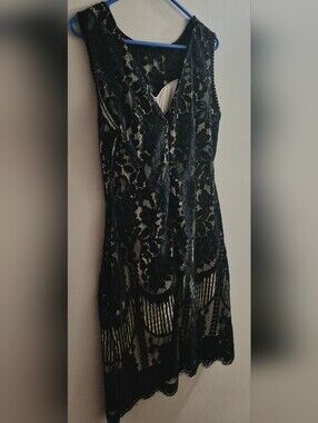 Black Lace Overlay Sleeveless Dress